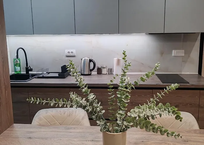 Daire Wind Star Divčibare